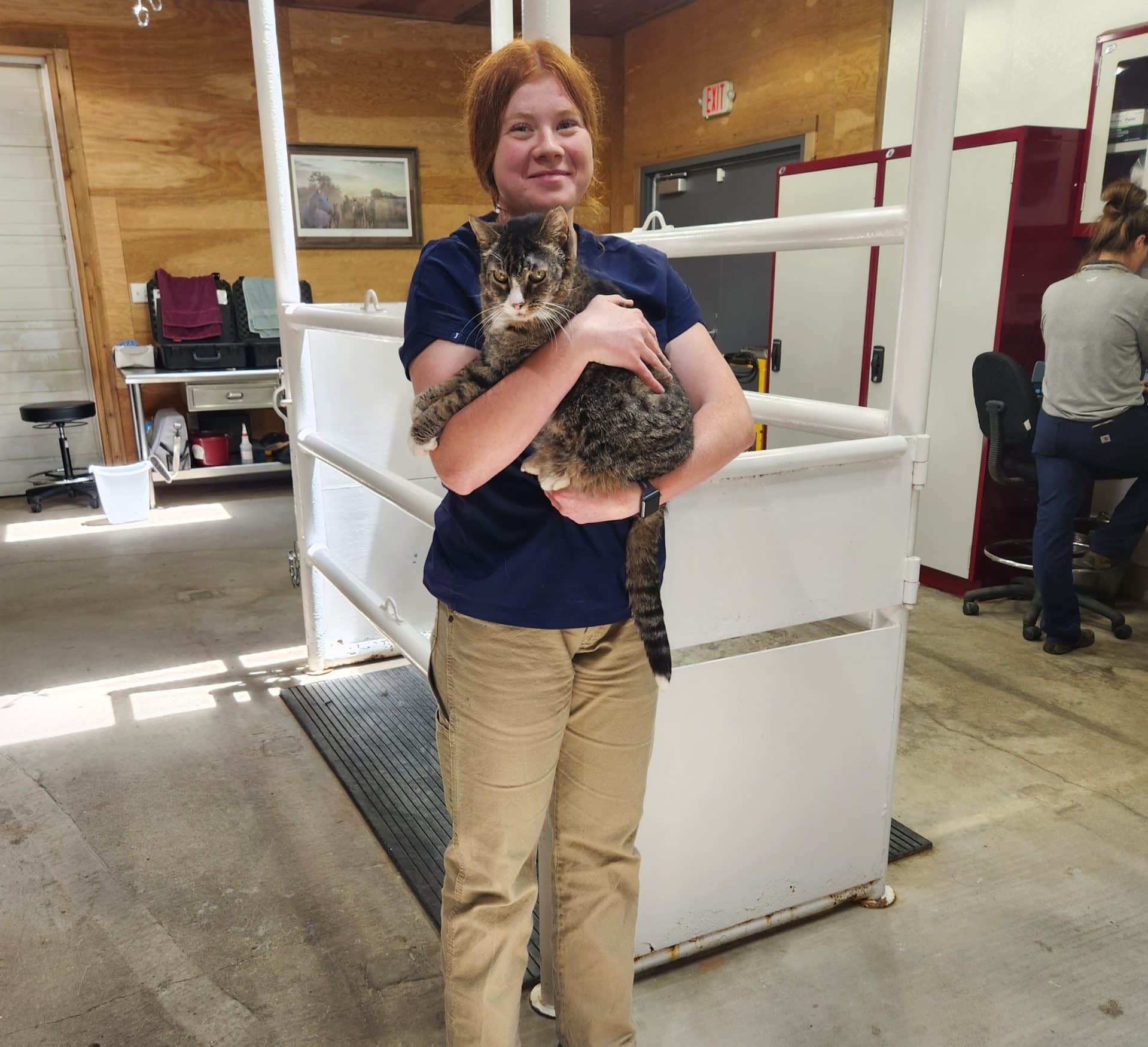 A veterinarian in scrubs stands indoors, smiling and holding a large tabby cat. The background includes white railings, wooden walls, and another person seated at a desk in the pet clinic.