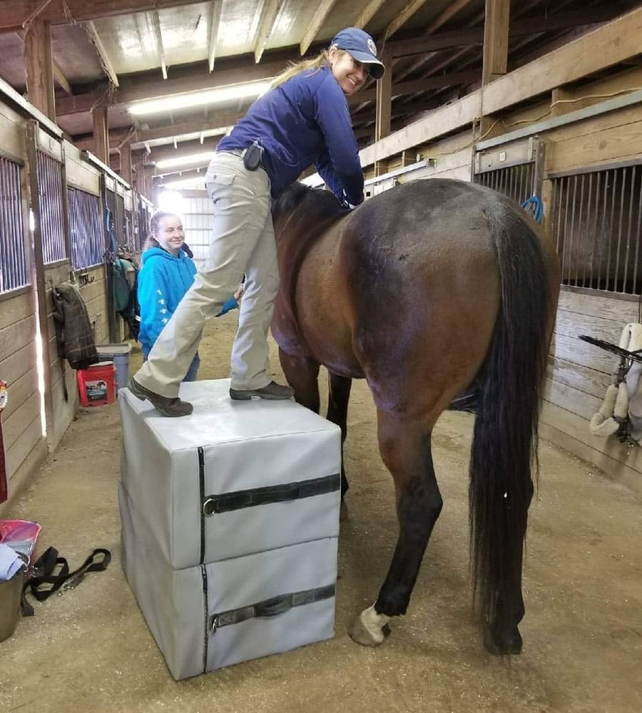 A veterinarian stands on stacked padded blocks in a stable, reaching over a horse's back, while another person smiles in the background. The scene takes place in a barn with wooden stalls and various equipment nearby.