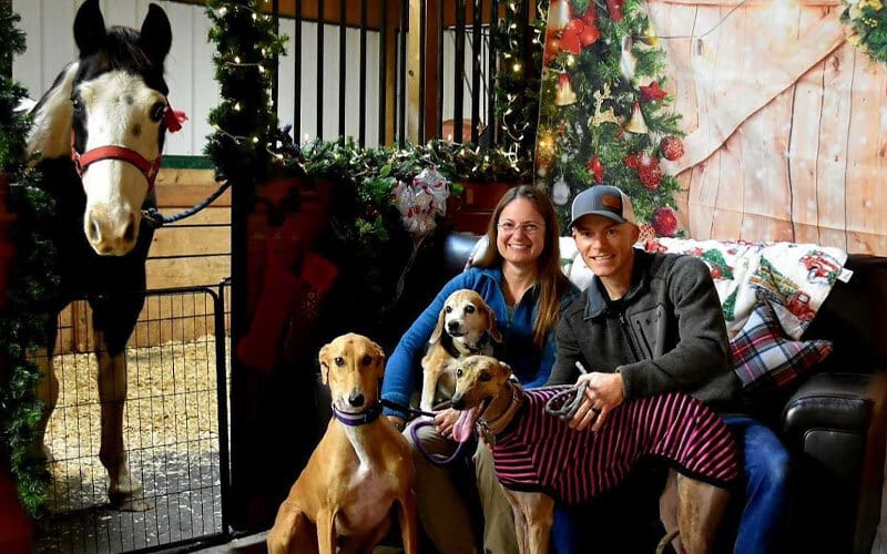 A smiling couple sits on a couch with three dogs in front of them, next to a decorated stable with a horse. The scene is festive with holiday lights, wreaths, and a cozy atmosphere.