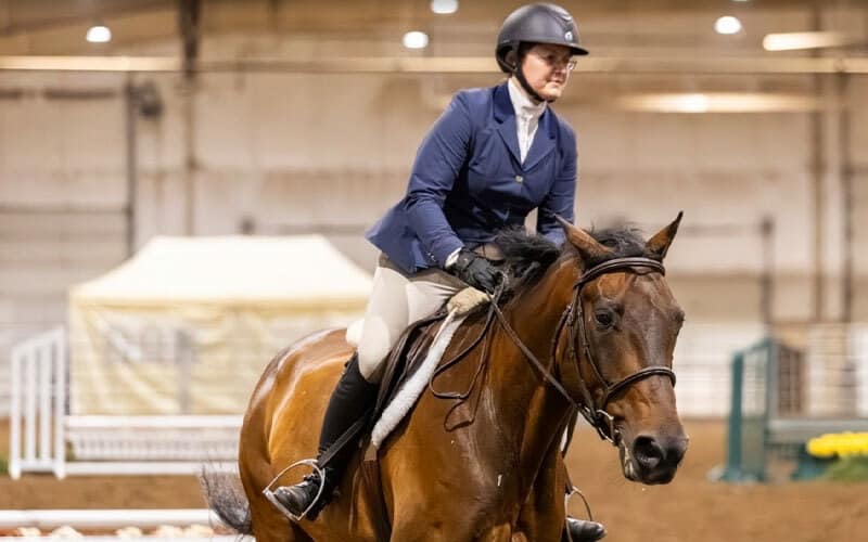 A rider in a navy jacket, beige pants, and black helmet is riding a brown horse indoors, likely during an equestrian event. White fences and jump obstacles are visible in the background.