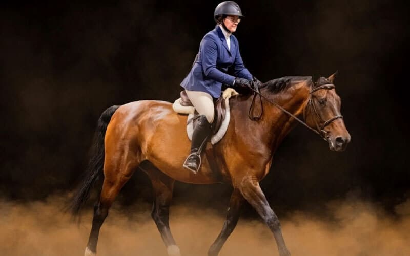 A person wearing a helmet and equestrian outfit rides a brown horse through a cloud of dust against a dark background.