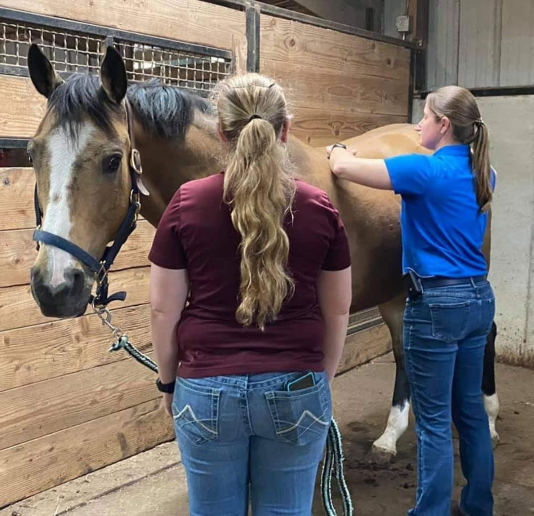 Two women stand with a tan horse in a stable; one, possibly a veterinarian in a blue shirt, examines or grooms the horse’s side while the other holds its lead. The stable features wooden walls and a concrete floor.