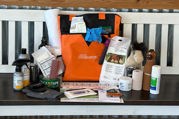 A variety of horse care and first aid supplies, including bandages, gloves, sprays, balms, tape, a soft toy horse, and an orange bag labeled “Innovator,” arranged on a bench.