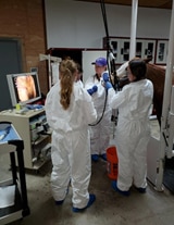 Three veterinarians in white protective suits and blue gloves stand around a horse, performing a medical procedure while viewing an endoscopic image on a monitor in an animal hospital.