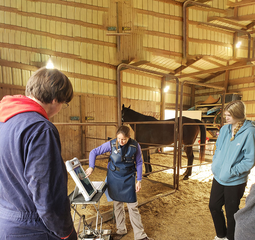 A woman in an apron, possibly a vet, demonstrates equipment to two people inside a well-lit barn with wooden walls and a sandy floor. A horse stands in a stall behind them, creating the atmosphere of an animal hospital or pet clinic.
