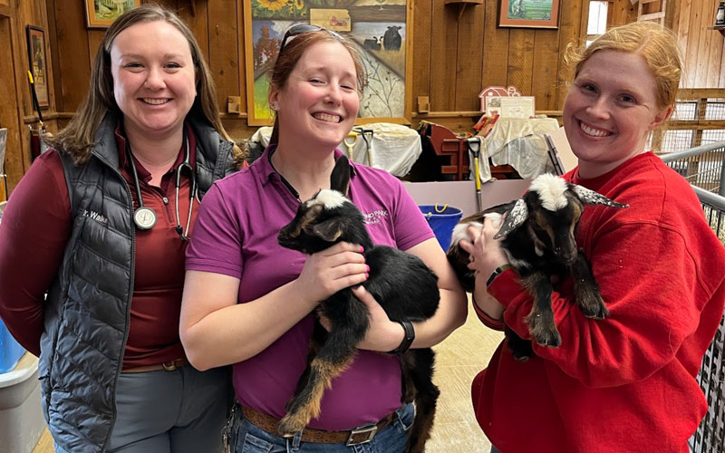 Three smiling women stand indoors, each holding a baby goat. The women are dressed casually; two wear veterinary uniforms. The background shows wooden walls, paintings, and animal care equipment.