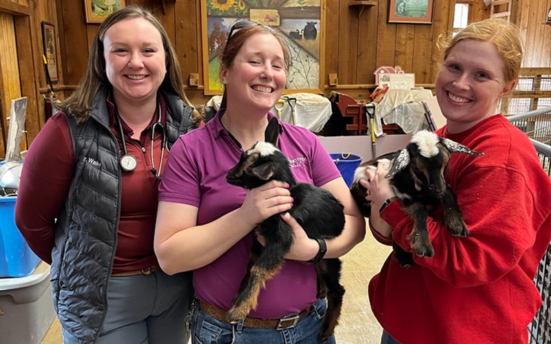 Three smiling women stand indoors, each holding a baby goat. They are dressed casually and one wears a stethoscope. The background shows wooden walls, paintings, and farm equipment.
