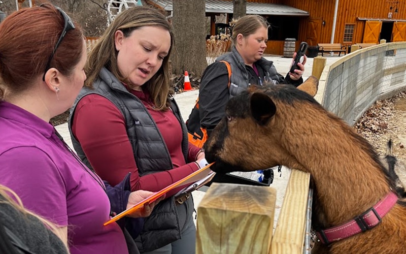 Three women stand by a wooden fence, interacting with a brown goat. One woman holds a clipboard and seems to be taking notes, another holds a phone, while the third looks on. The scene appears to be at an outdoor animal enclosure.