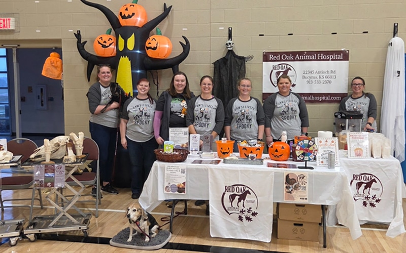 A group of seven women in matching shirts stand behind a decorated table with Halloween-themed items, pumpkins, and pet supplies. An inflatable decoration with stacked jack-o’-lanterns is behind them, along with a small dog in front.