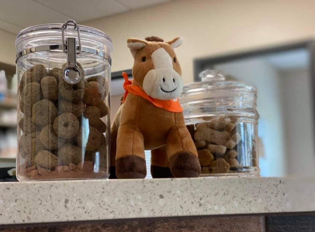 A plush horse toy with an orange bandana sits on a countertop between two clear jars of dog treats, creating a welcoming spot for pets at the animal hospital. The background shows an out-of-focus indoor setting.