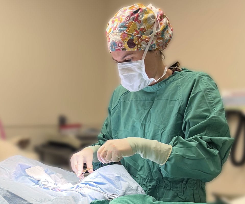 A vet in green scrubs, a colorful surgical cap, mask, and gloves performs a procedure in an animal hospital operating room, focusing intently on the task.