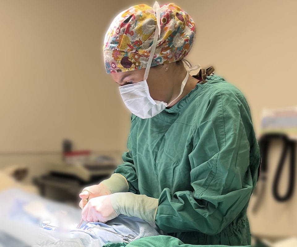 A veterinarian wearing a colorful cap, face mask, and green surgical gown is focused on performing surgery at a well-lit pet clinic. Medical instruments and blurred equipment are visible in the background.