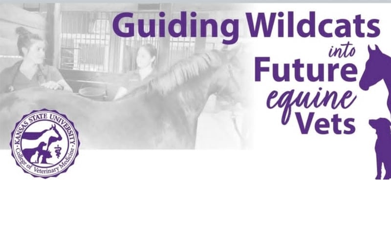 Two people stand with a horse in a stable. Text reads, "Guiding Wildcats into Future equine Vets," with the Kansas State University College of Veterinary Medicine logo and horse silhouettes.