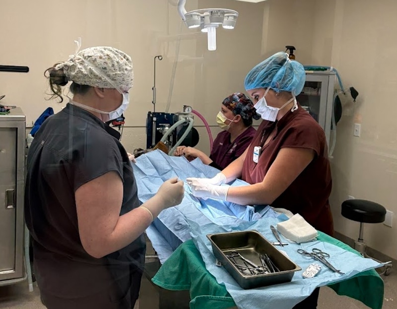 Three medical professionals in scrubs, masks, and hair covers perform surgery in a well-lit operating room, working over a patient covered with blue drapes. Surgical instruments are arranged on a table nearby.