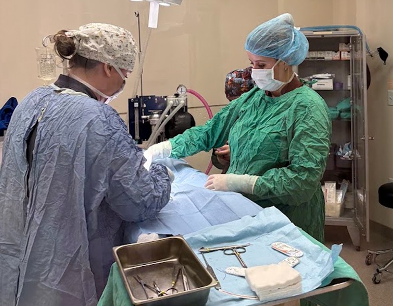 Two medical professionals wearing surgical gowns, masks, and hair covers perform surgery in an operating room. Surgical instruments and supplies are arranged on a tray in the foreground.