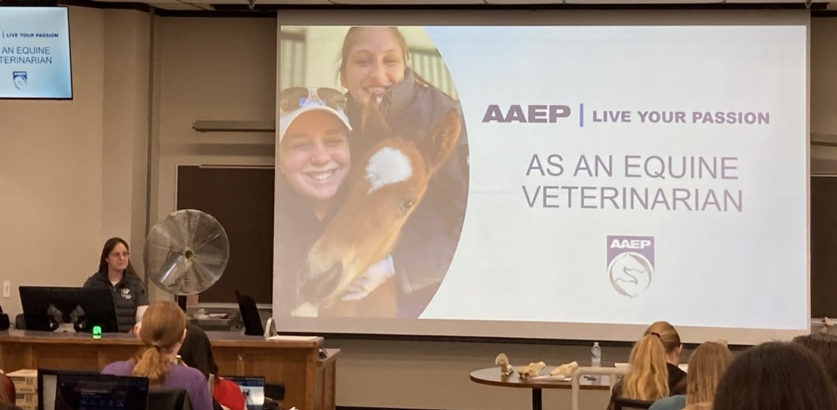 A classroom setting where a woman presents a slide titled “AAEP | Live Your Passion as an Equine Veterinarian” with images of smiling women and a foal; students watch and take notes.