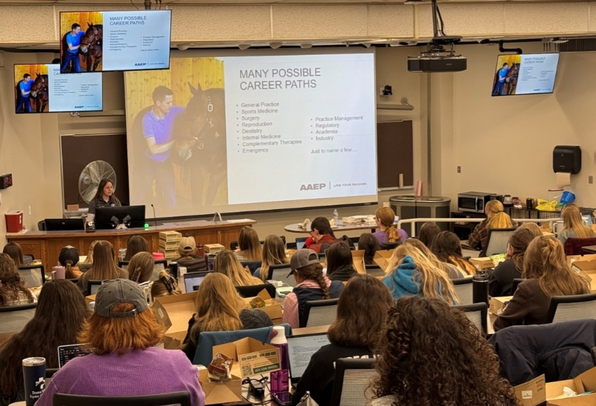 A classroom full of students listens to a speaker presenting slides about possible career paths in veterinary medicine. The slide lists various specialties, and several screens and a photo of a horse and vet are visible.