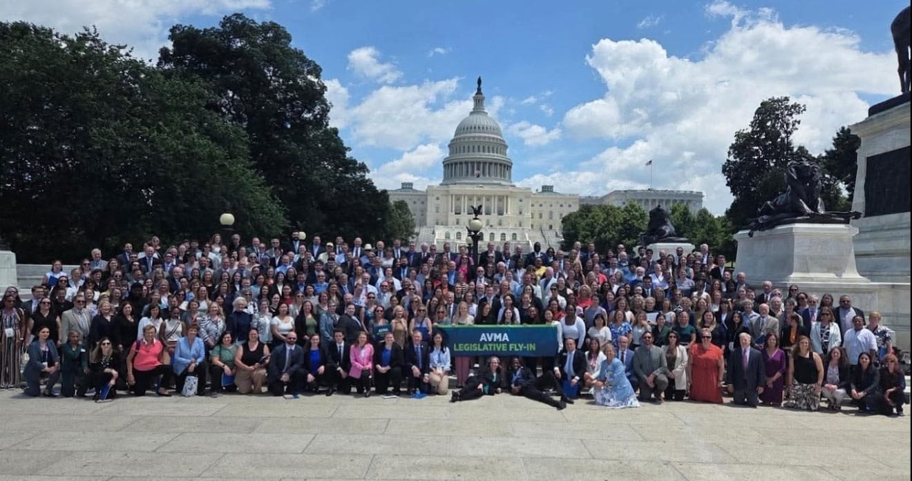 A large group of people poses in front of the U.S. Capitol building on a sunny day, holding a green banner that reads "AYAA LEGISLATIVE FLY-IN." Trees and statues flank the background.