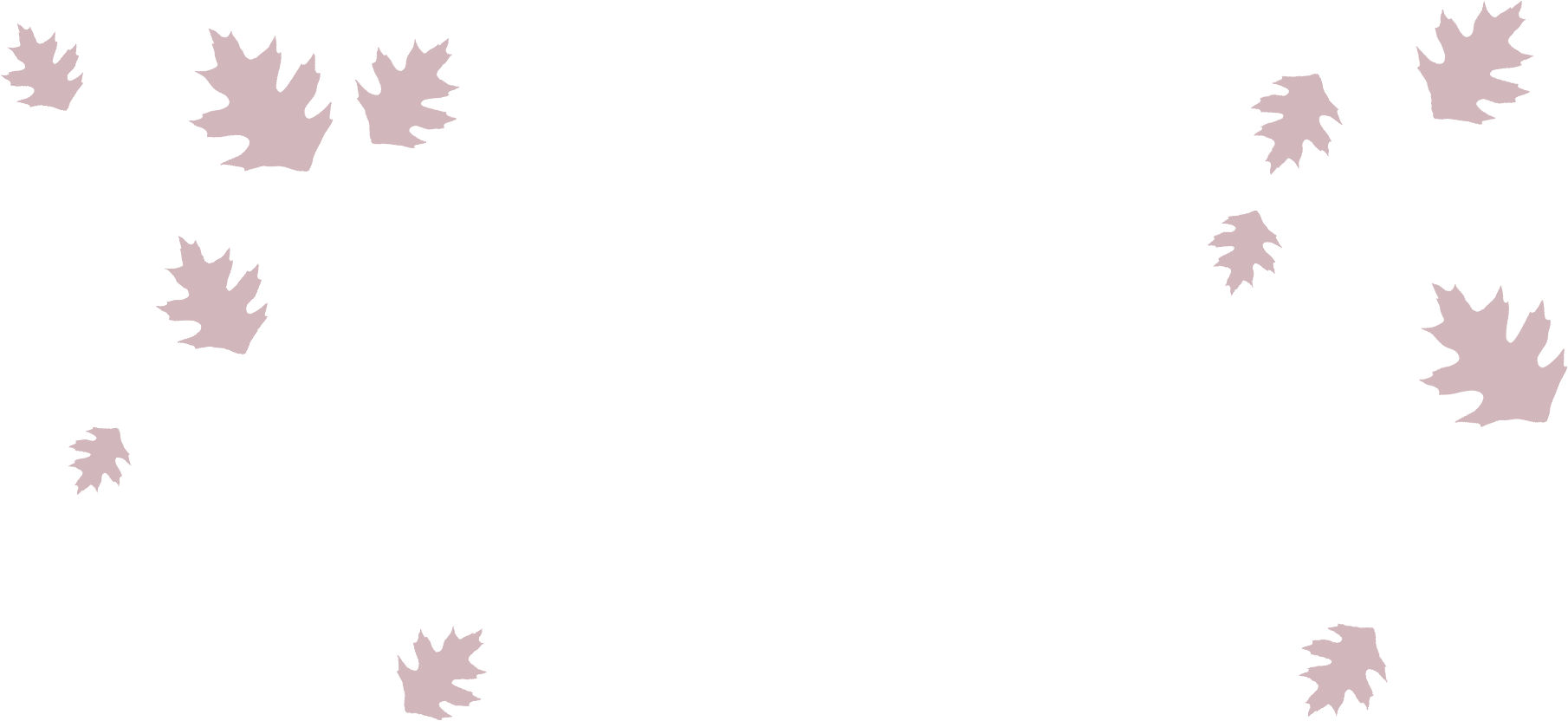 A white background with scattered pastel pink maple leaves of various sizes in the corners and along the edges, leaving the center empty—perfect for a pet clinic or veterinarian’s flyer, providing ample space for important vet information.