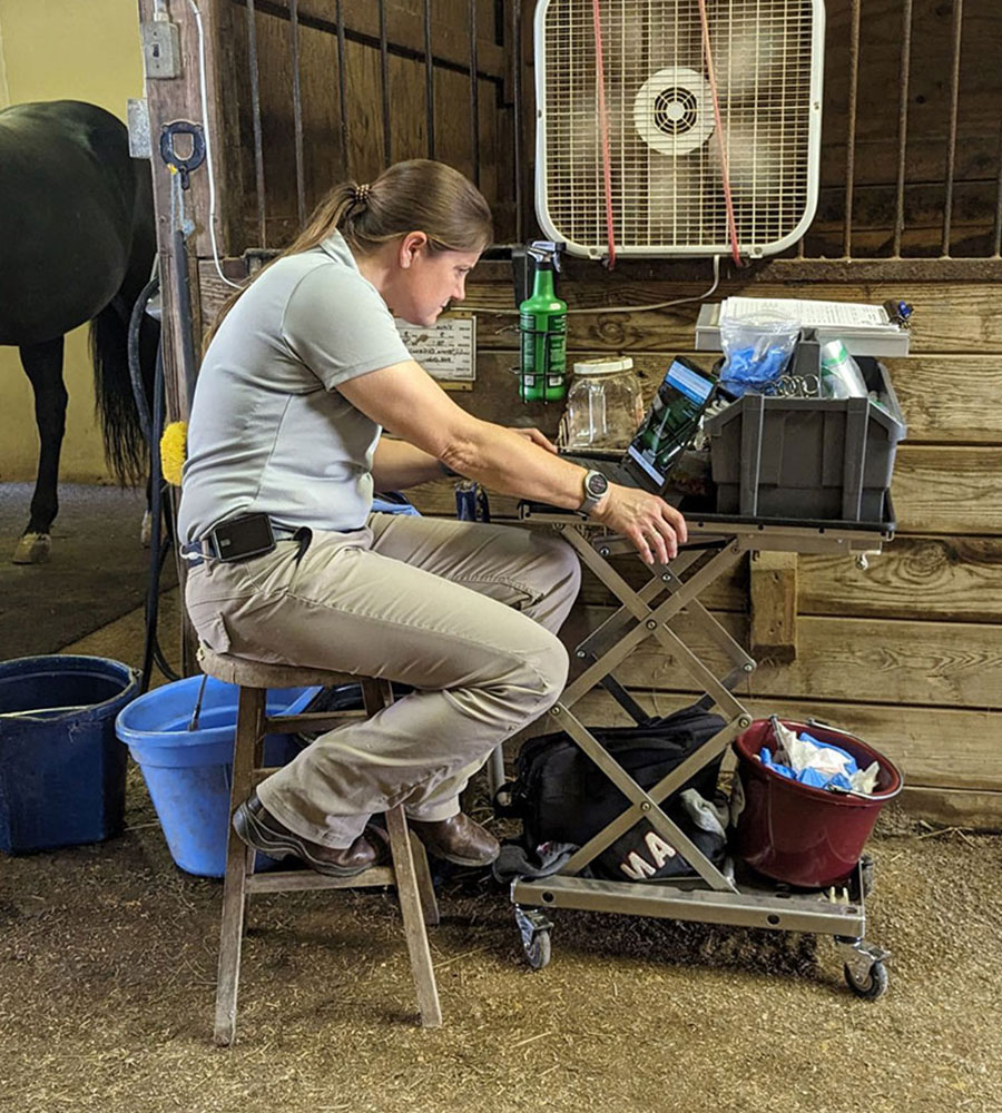A woman in tan pants and a gray shirt sits on a wooden stool in a barn, focused on a laptop set on a rolling cart. Supplies, bottles, and a fan are around her. A horse stands in a stall behind her—typical of a dedicated veterinarian at work.