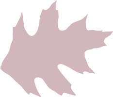 Simple illustration of a single, jagged-edged leaf with pointed lobes, colored in a muted mauve shade on a light background—perfect for adding soothing style to any pet clinic or animal hospital setting.