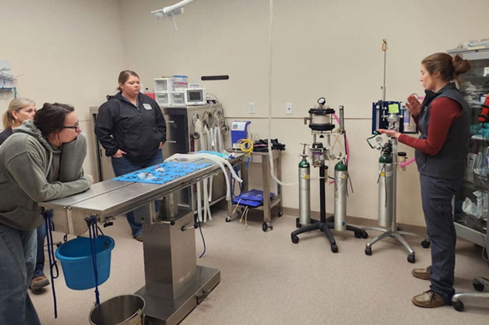 Four people are in a veterinary clinic, with one person standing and explaining equipment while the others listen. An exam table, medical devices, and oxygen tanks are visible in the room.