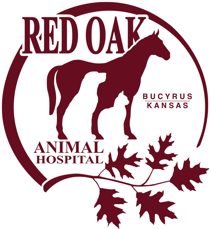 Logo for Red Oak Animal Hospital, a trusted veterinarian in Bucyrus, Kansas, featuring a horse silhouette and maroon oak leaves arranged in a circular design.