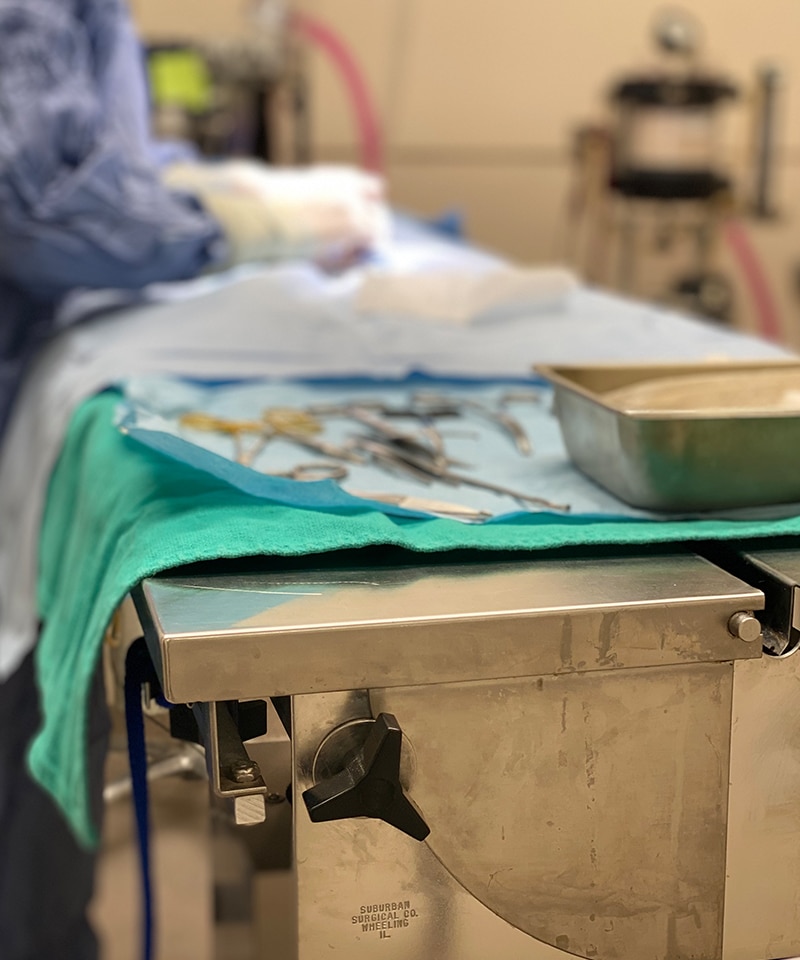 A surgical table at an animal hospital displays medical instruments on a green cloth and a metal tray in the foreground, while a vet in scrubs works in the blurred background.